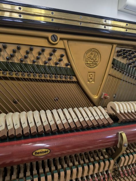 Pianoforte Bechstein Concert 8 tedesco con trasporto e panca inclusi - Foto 5