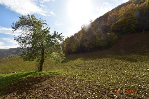 Casa di campagna in Contrada Tardiano - Foto 9