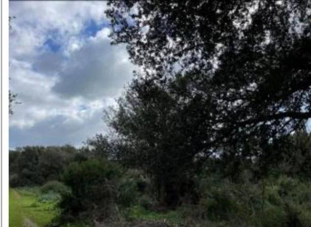Immobile in asta di 23081 m² in vendita a Osilo - Foto 2