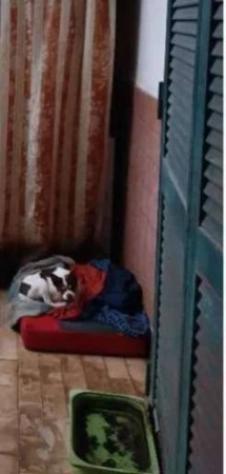 Immobile in asta di 75 m² in vendita a Giugliano in Campania - Foto 16
