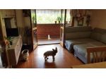 Appartamento in vendita a Siena 100 mq  Rif: 1343284