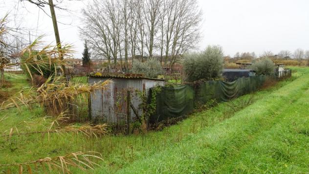 Terreno agricolo in vendita a Larciano 2500 mq Rif: 630667 - Foto 4