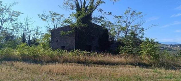 Immobile in asta di 4253 m² in vendita a Silvi - Foto 2