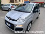 FIAT Panda 1.2 Easy 69CV E6 ***OK NEOPATENTATI*** rif. 23533306