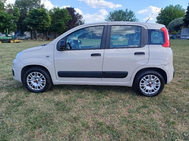 Fiat Panda 1.2 Benzina Lounge Km 100.000 - Foto 5