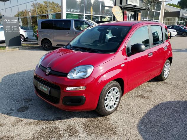 FIAT Pandina Pandina 1.0 firefly hybrid Icon s&s 65cv