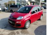 FIAT Pandina Pandina 1.0 firefly hybrid Icon s&s 65cv