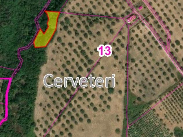 Agricolo in Via Casale dell'Oliveto - Foto 4