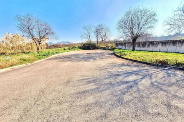 Immobile in asta di 13347 m² in vendita a Montelupone - Foto 3