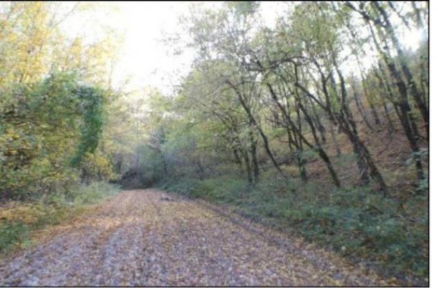 Immobile in asta di 65380 m² in vendita a Nocera Umbra - Foto 3