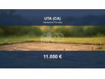 Immobile in asta di 1986 m² in vendita a Assemini
