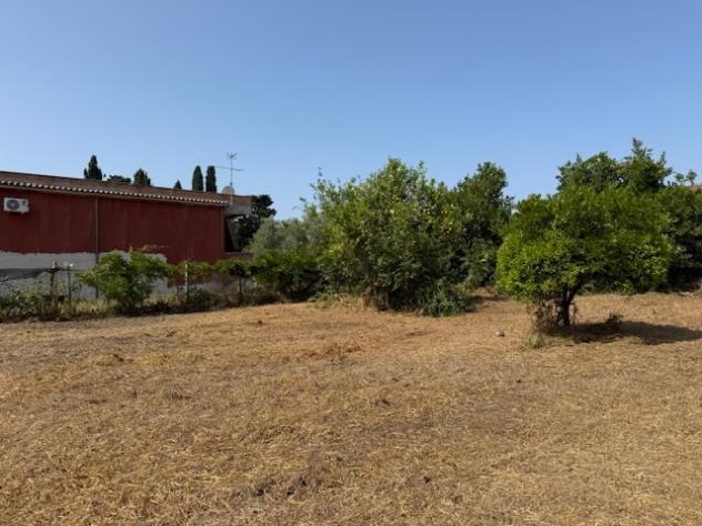 Terreno edificabile in vendita a Nettuno - Foto 7