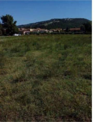 Immobile in asta di 7605 m² in vendita a Perugia - Foto 4
