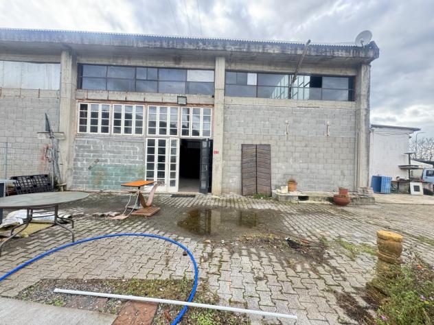 Magazzino in affitto a Pietrasanta - Foto 12