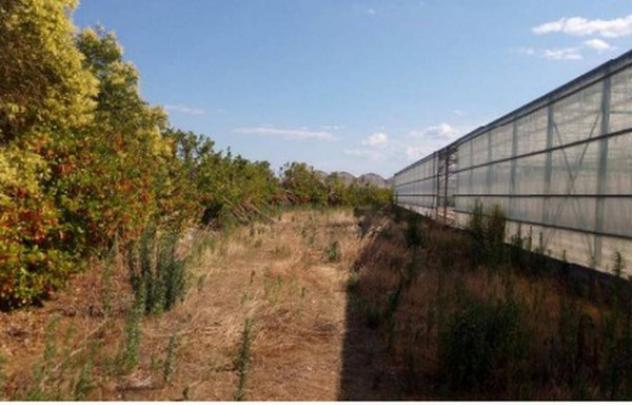 Immobile in asta di 6310 m² in vendita a Bernalda - Foto 7