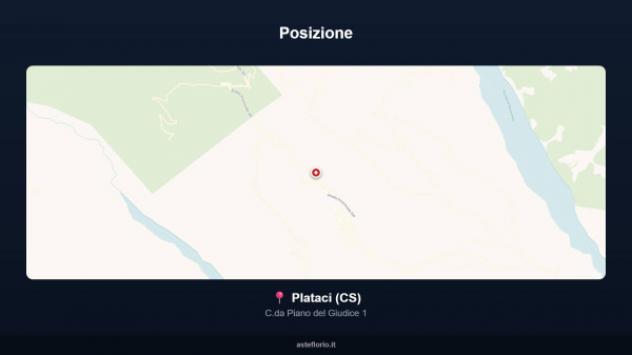 Immobile in asta di 445 m² in vendita a Plataci - Foto 10
