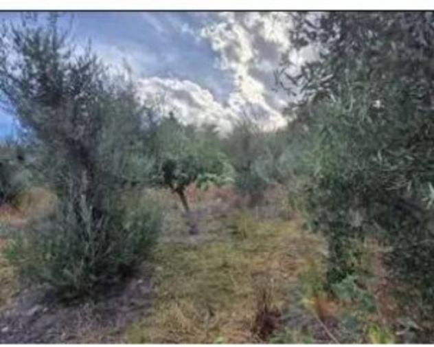 Immobile in asta di 470 m² in vendita a Bovalino - Foto 6