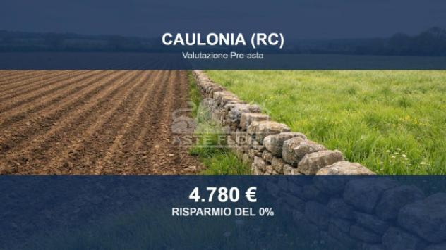 Immobile in asta di 4550 m² in vendita a Caulonia