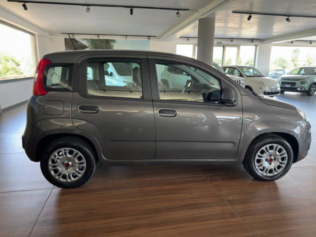 Fiat Panda 1.0 FireFly S&S Hybrid Easy - Foto 6