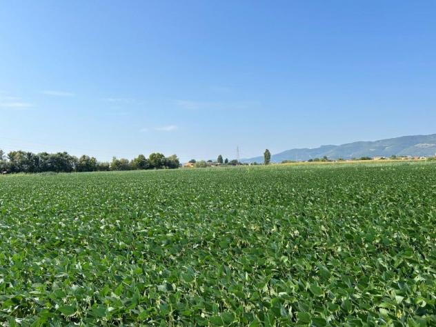 Seminativo in vendita a Castegnero - Foto 7