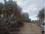 IMMOBILI-ALTRA CATEGORIA-Via Piano Alvanella, 83024 Monteforte Irpino AV, Italia