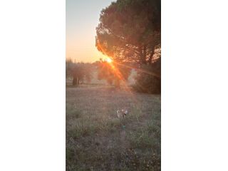 Amore e incontri Santarcangelo di Romagna - Cerco ragazza per serate divertenti Tel:3393109077