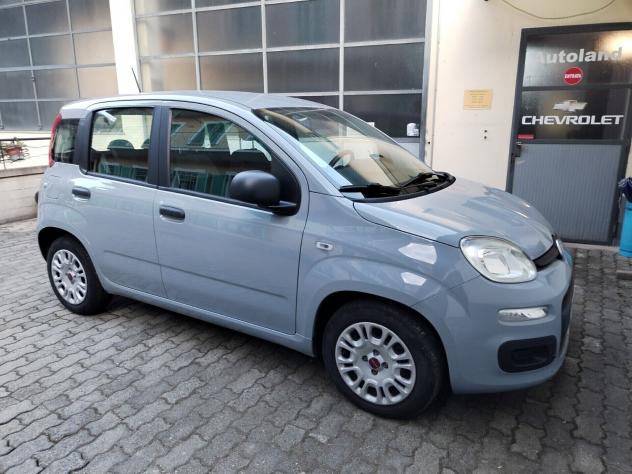 Fiat Panda 1.0 FireFly S&S Hybrid - Foto 5