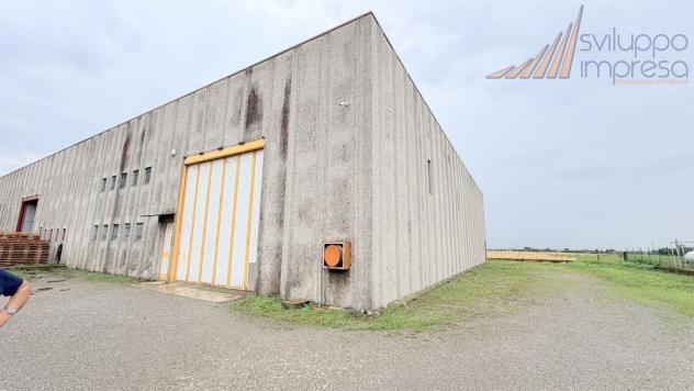 CAPANNONE CON PALAZZINA UFFICI IN VENDITA A BERNAREGGIO - Foto 12