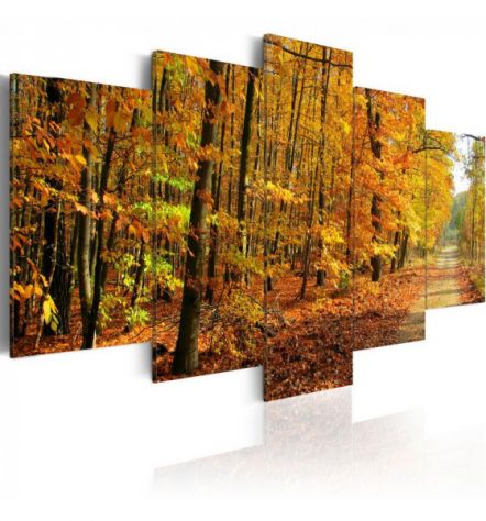uadro Autunno Nel Bosco 100x50 E 200x100 ARREDALACASA