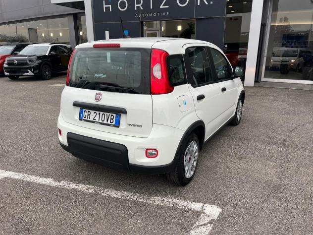 FIAT Panda Panda 1.0 FireFly S&S Hybrid - Foto 6