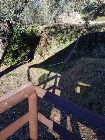 Annesso agricolo in vendita a Calci 15000 mq Rif: 594303