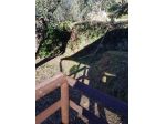 Annesso agricolo in vendita a Calci 15000 mq  Rif: 594303