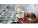 Gelateria in vendita a Rovigo