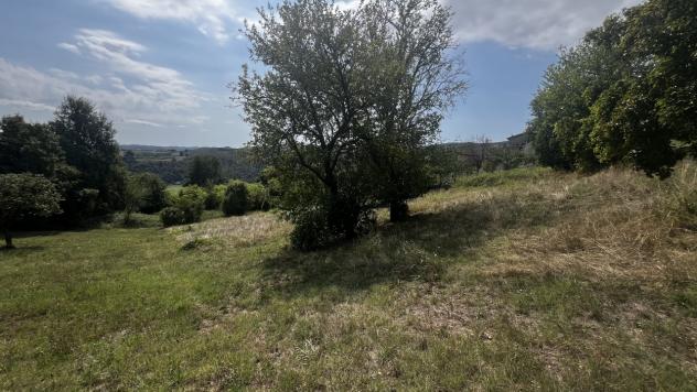 Seminativo in vendita a Altavilla Vicentina - Foto 3