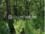 Villa di 73.77 mq  in vendita a Castelbuono - Rif. 4542390