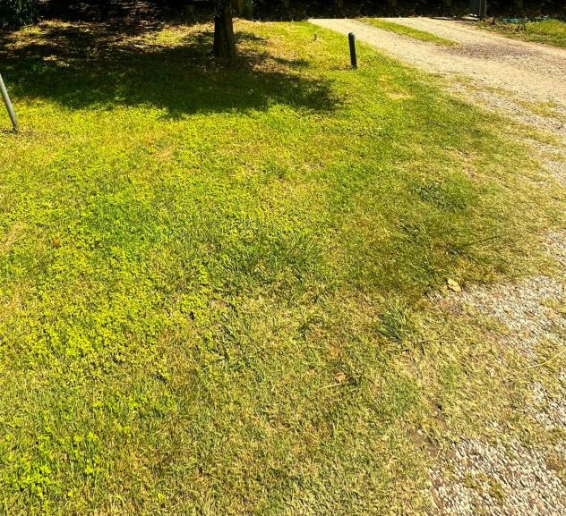 Appartamento in vendita a Montelupo Fiorentino 110 mq Rif: 1286439 - Foto 2