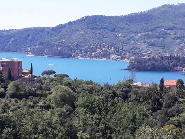 Rif. 4093 - Rapallo-Zoagli - Attico Vista Mare in villa bifamigliare con ingress