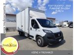 FIAT DUCATO – 2022 – FURGONE IN LEGA LEGGERA – EURO 6