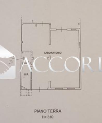 CASA INDIPENDENTE di 6 vani e di 300 mq (VITTORIO VENETO) rif. SM60 - Foto 17