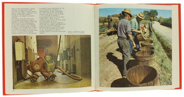LA MIA CANTINA. 4 VOLUMI IN VARI FORMATI+COFANETTO 1°ED.LIBREX 1969 PERFETTO - Foto 4