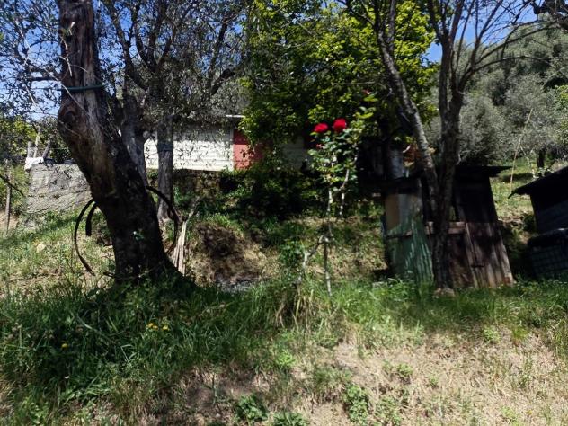 Terreno agricolo in vendita a Fontia - Carrara 3000 mq Rif: 798593 - Foto 6