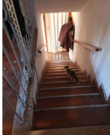 Immobile in asta di 128 m² in vendita a Cunardo - Foto 7