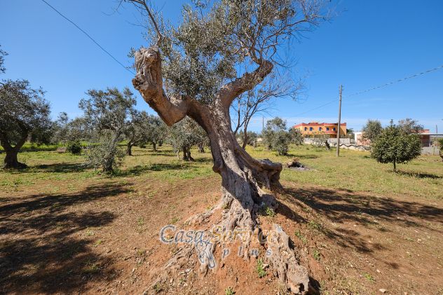 Villetta nelle campagne di Gallipoli - Foto 2