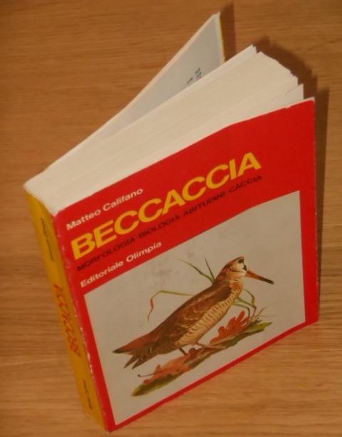 Beccaccia, Matteo Califano, Editoriale Olimpia 1971. - Foto 5