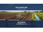 Immobile in asta di 23779 m² in vendita a Buccheri