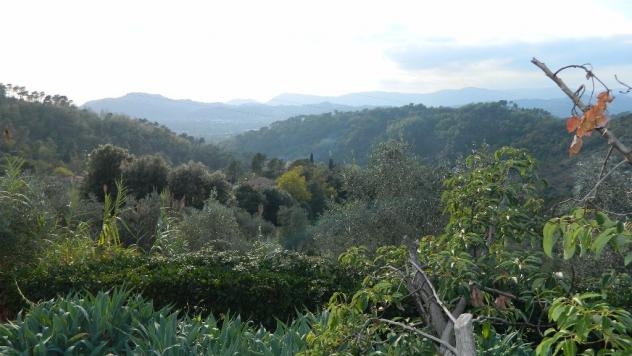Villa in vendita a Sarzana 260 mq Rif: 599497 - Foto 4