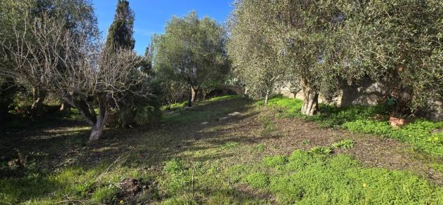 Bifamiliare in vendita a Sassari - Foto 11