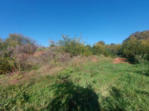 Immobile in asta di 3640 m² in vendita a Artena - Foto 4