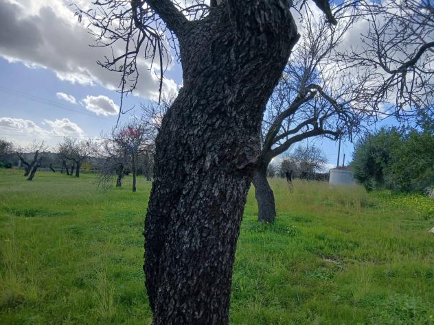 Terreno Edificabile in vendita a Avola - Foto 4