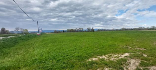 Terreno di 34149 m² in vendita a Piazzola sul Brenta - Foto 3